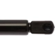 Purchase Top-Quality Lift Support by STRONG ARM - 6250 pa8