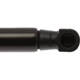 Purchase Top-Quality Lift Support by STRONG ARM - 6253 pa7