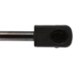 Purchase Top-Quality Lift Support by STRONG ARM - 6253 pa8