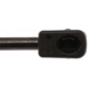 Purchase Top-Quality Lift Support by STRONG ARM - 6261 pa7