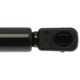 Purchase Top-Quality Lift Support by STRONG ARM - 6261 pa8