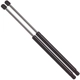 Purchase Top-Quality Lift Support by STRONG ARM - 6269 pa9