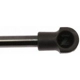 Purchase Top-Quality Lift Support by STRONG ARM - 6275 pa11