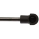 Purchase Top-Quality Lift Support by STRONG ARM - 6281 pa10