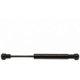 Purchase Top-Quality Lift Support by STRONG ARM - 6281 pa5