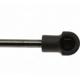 Purchase Top-Quality Lift Support by STRONG ARM - 6281 pa6