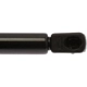 Purchase Top-Quality Lift Support by STRONG ARM - 6282 pa8
