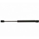 Purchase Top-Quality Lift Support by STRONG ARM - 6282 pa9
