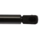 Purchase Top-Quality Lift Support by STRONG ARM - 6294 pa7