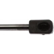 Purchase Top-Quality Lift Support by STRONG ARM - 6294 pa8