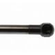 Purchase Top-Quality Lift Support by STRONG ARM - 6295 pa2