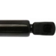 Purchase Top-Quality Lift Support by STRONG ARM - 6295 pa3