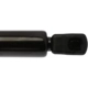 Purchase Top-Quality Lift Support by STRONG ARM - 6295 pa7