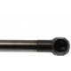 Purchase Top-Quality Lift Support by STRONG ARM - 6295 pa8