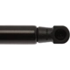 Purchase Top-Quality Lift Support by STRONG ARM - 6297 pa7