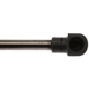 Purchase Top-Quality Lift Support by STRONG ARM - 6297 pa8
