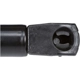 Purchase Top-Quality Lift Support by STRONG ARM - 6299 pa7