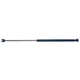 Purchase Top-Quality STRONG ARM - 6303 - Lift Support pa1