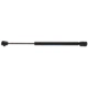 Purchase Top-Quality STRONG ARM - 6303 - Lift Support pa4