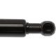 Purchase Top-Quality Lift Support by STRONG ARM - 6305 pa7