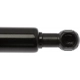 Purchase Top-Quality Lift Support by STRONG ARM - 6305 pa8