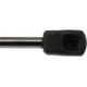 Purchase Top-Quality Lift Support by STRONG ARM - 6307 pa7