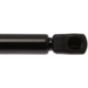 Purchase Top-Quality Lift Support by STRONG ARM - 6307 pa8