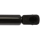 Purchase Top-Quality Lift Support by STRONG ARM - 6309 pa8