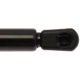 Purchase Top-Quality Lift Support by STRONG ARM - 6314 pa7