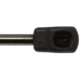 Purchase Top-Quality Lift Support by STRONG ARM - 6314 pa8