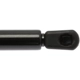 Purchase Top-Quality Lift Support by STRONG ARM - 6325 pa7