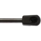 Purchase Top-Quality Lift Support by STRONG ARM - 6326 pa8