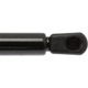 Purchase Top-Quality Lift Support by STRONG ARM - 6332 pa7