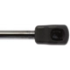 Purchase Top-Quality Lift Support by STRONG ARM - 6332 pa8