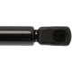 Purchase Top-Quality Lift Support by STRONG ARM - 6333 pa8