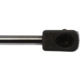 Purchase Top-Quality Lift Support by STRONG ARM - 6337 pa7