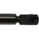 Purchase Top-Quality Lift Support by STRONG ARM - 6339 pa8