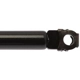 Purchase Top-Quality Lift Support by STRONG ARM - 6341 pa8
