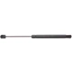 Purchase Top-Quality Lift Support by STRONG ARM - 6352 pa2