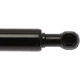 Purchase Top-Quality Lift Support by STRONG ARM - 6359 pa7