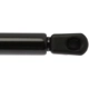 Purchase Top-Quality Lift Support by STRONG ARM - 6361 pa7