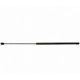 Purchase Top-Quality Lift Support by STRONG ARM - 6362 pa9