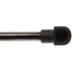 Purchase Top-Quality Lift Support by STRONG ARM - 6364 pa7