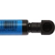 Purchase Top-Quality Lift Support by STRONG ARM - 6364 pa8