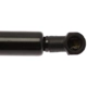 Purchase Top-Quality Lift Support by STRONG ARM - 6365 pa7
