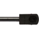 Purchase Top-Quality Lift Support by STRONG ARM - 6365 pa8