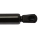 Purchase Top-Quality Lift Support by STRONG ARM - 6377 pa8