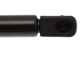 Purchase Top-Quality STRONG ARM - 6379 - Lift Support pa3