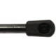 Purchase Top-Quality Lift Support by STRONG ARM - 6381 pa10