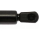 Purchase Top-Quality Lift Support by STRONG ARM - 6381 pa11